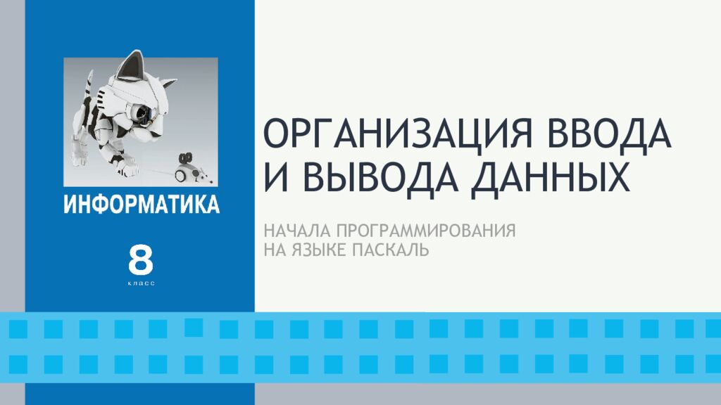 ОРГАНИЗАЦИЯ ВВОДА И ВЫВОДА ДАННЫХ
