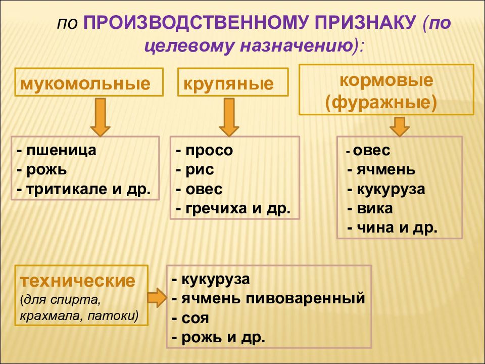 Классификация зерновых