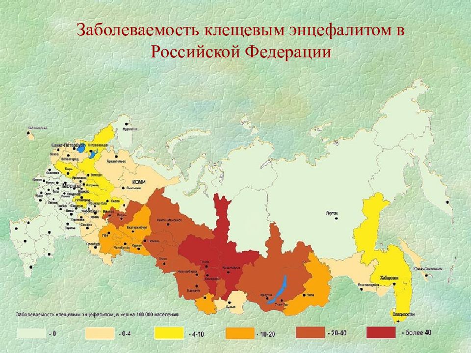 Карта клещевого энцефалита в россии