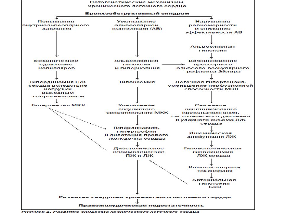 Хроническое легочное сердце патогенез. Критерии диагностики хронического легочного сердца. Схема развития декомпенсированного легочного сердца. Хроническое легочное сердце история болезни. Легочное сердце презентация.