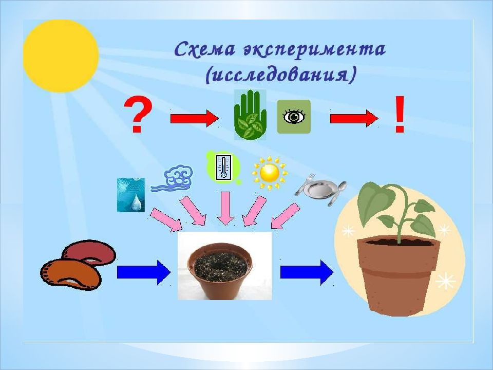 План конспект экспериментирования в подготовительной группе