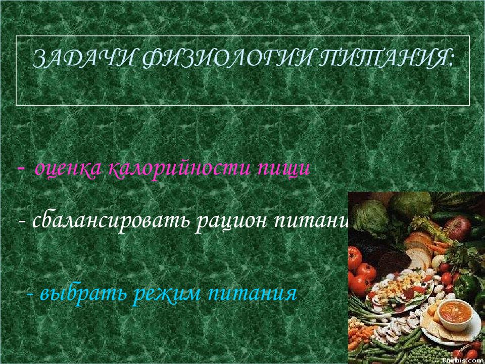 Физиология питания 5 класс урок технологии презентация