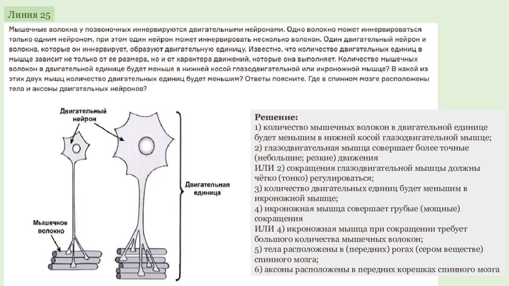 ЕГЭ 2027 ОДС ОТРАБОТКА