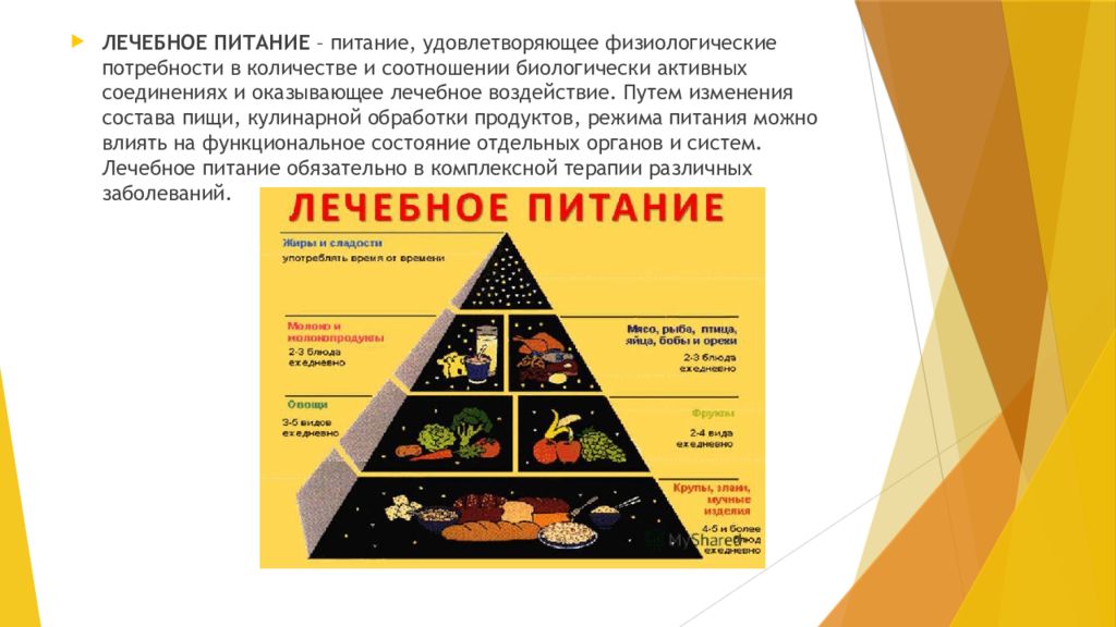 Лечебное питание рф. Понятие о лечебном питании. Лечебное питание презентация. Организация лечебного питания памятка. Понятие о диетотерапии.