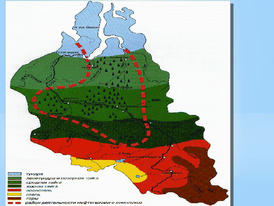 В каких природных зонах расположена сибирь. Природные зоны Западно сибирской равнины. Природные зоны Западно сибирской равнины на карте. Климатическая карта Западно сибирской равнины. Западно-Сибирская равнина климат карта.
