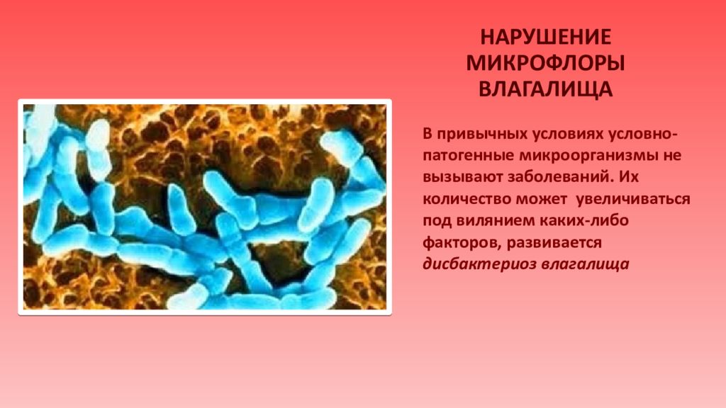 Болезнетворные микроорганизмы в носовой полости уничтожаются