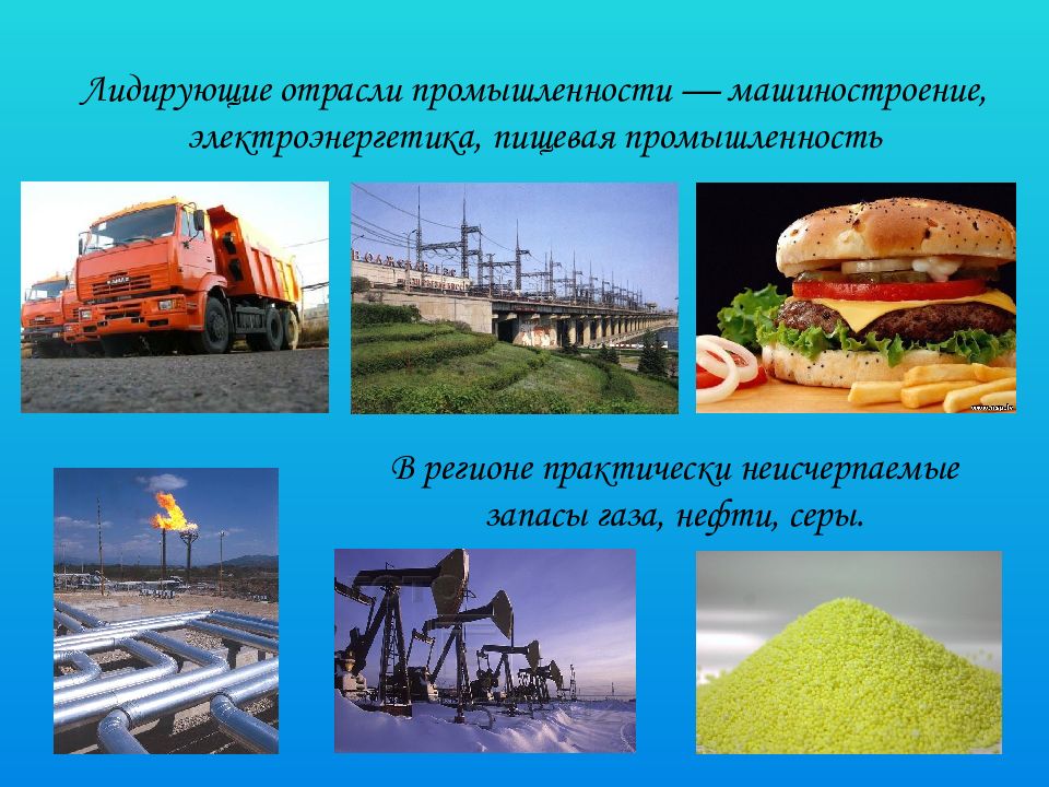 Какая отрасль промышленности обеспечивает экономику нефтью газом. Машиностроение пищевая Электроэнергетика ЦЧР. Сера отрасль промышленности. Ангола лидирующие отрасли промышленности. Какие промышленные отрасли в Светлогорска.