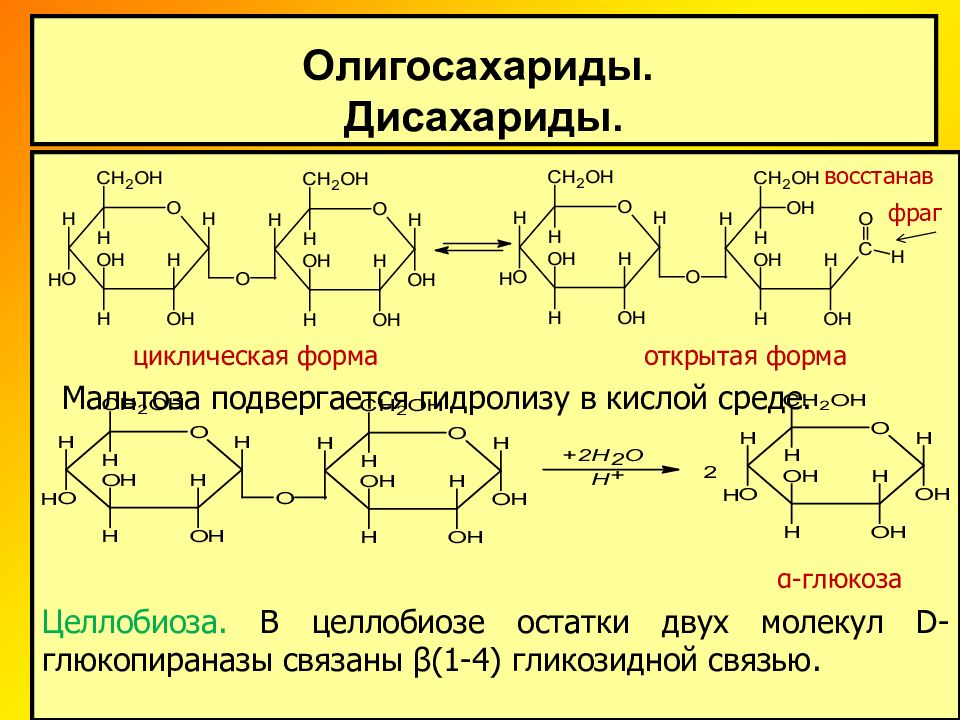 Презентация про дисахариды