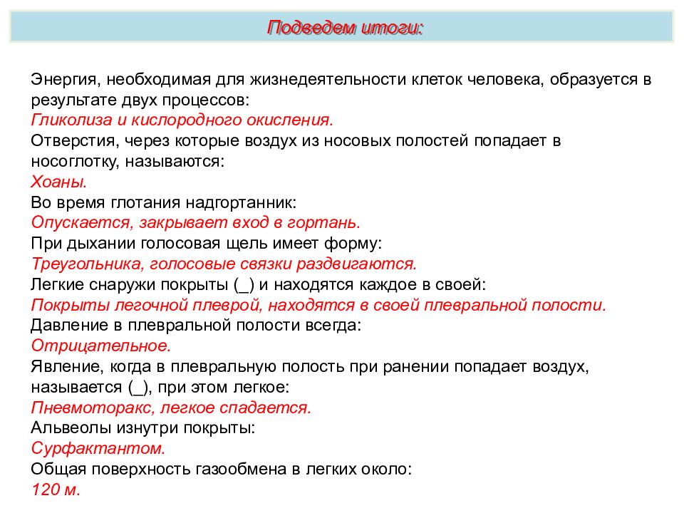 Дыхательная система презентация пименов