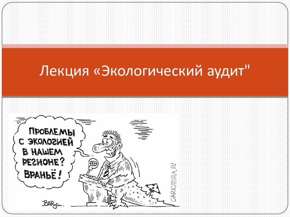 Лекция « Экологический аудит "