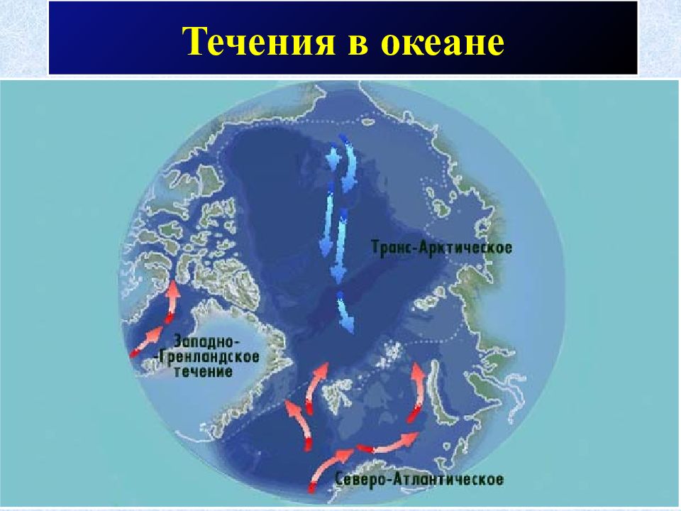 Течения в океане. Течения Северного Ледовитого океана на карте. Течения Северного Ледовитого океана. В каких полушариях находится Северный Ледовитый океан.