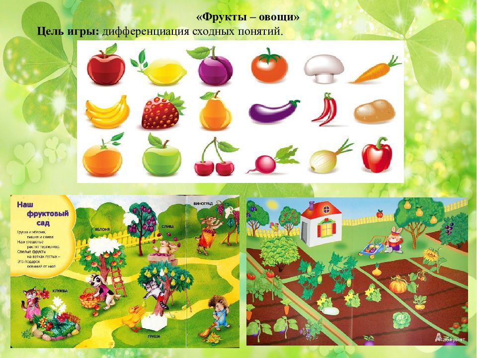 Игра овощи цель игры. Развивающие игры для дошкольников. Овощи задания для дошкольников. Сад фрукты задания для дошкольников. Интересные дидактические игры.