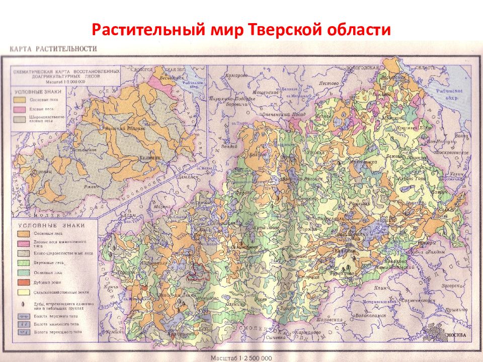 Геологическая карта тверской области