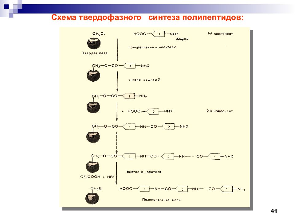 Синтезирующийся полипептид. Твердофазный пептидный Синтез схема. Твердофазный Синтез пептидов. Синтез полипептида схема. Твердофазный метод синтеза пептидов.