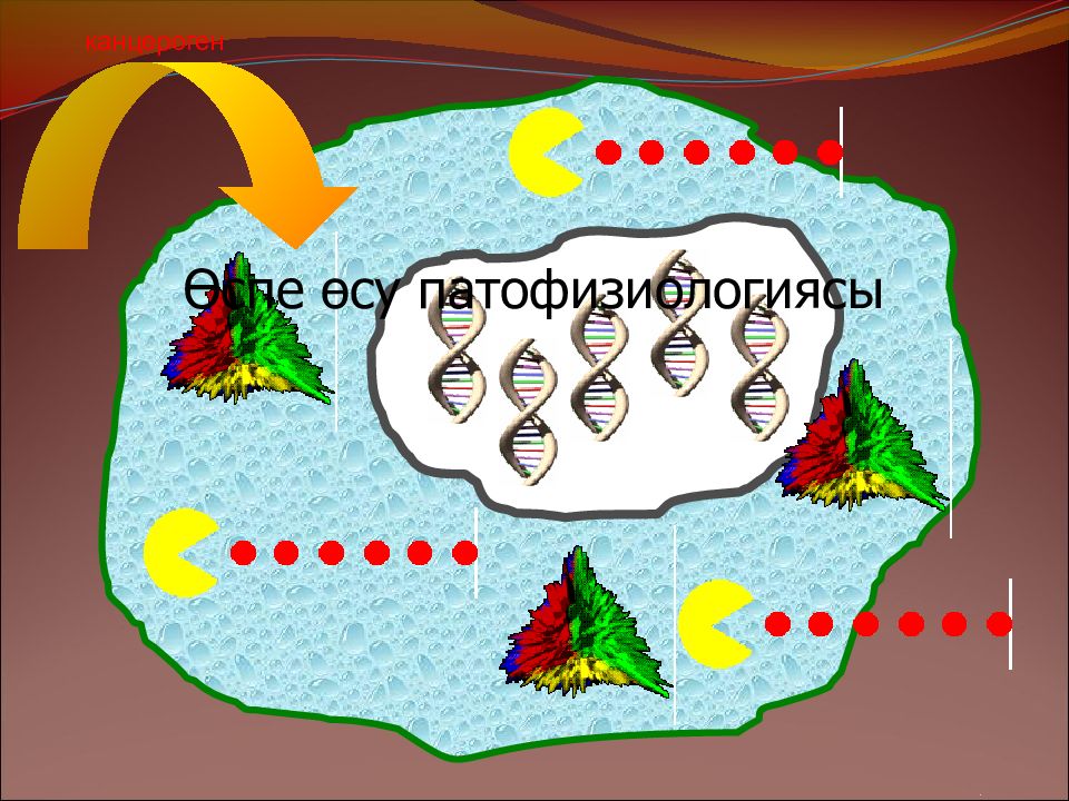 канцероген Өспе өсу патофизиологиясы