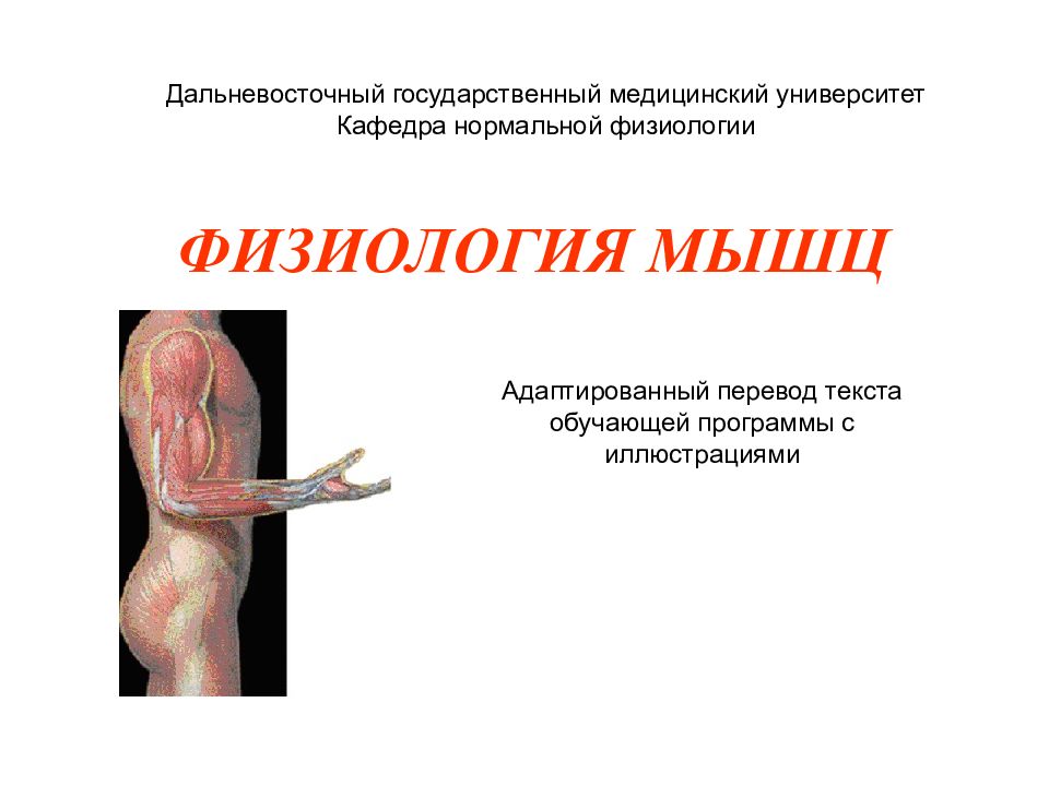 ФИЗИОЛОГИЯ МЫШЦ