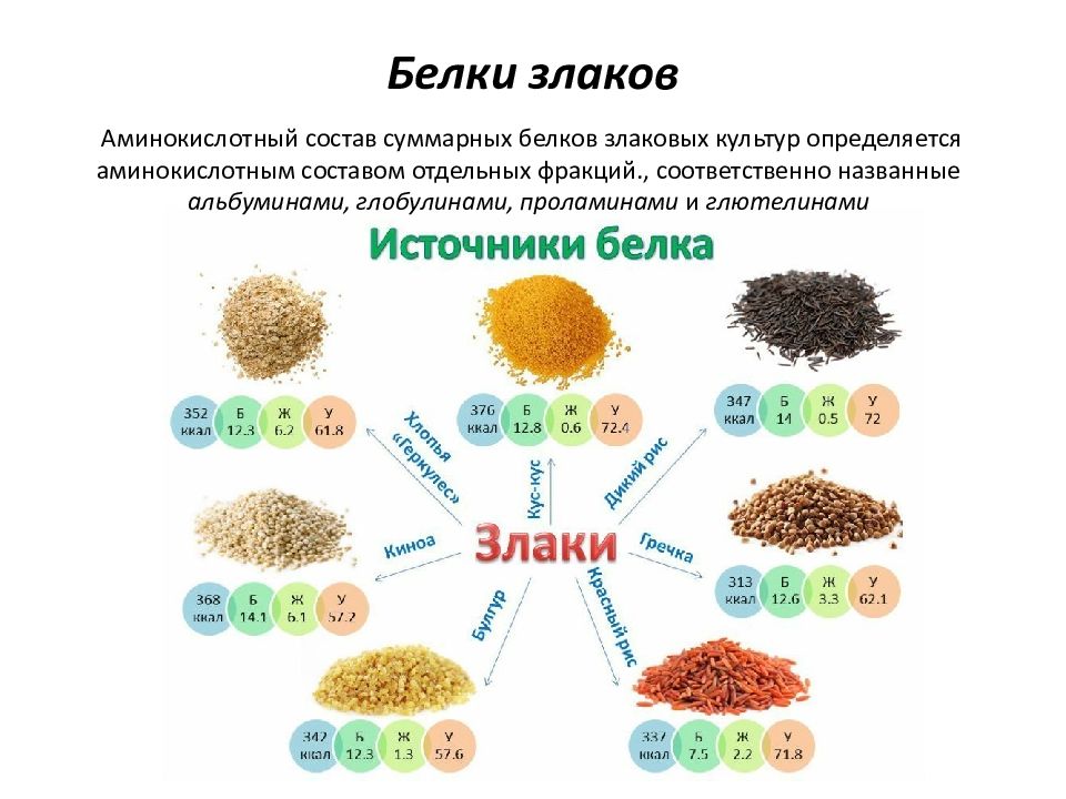 Белок зерновых