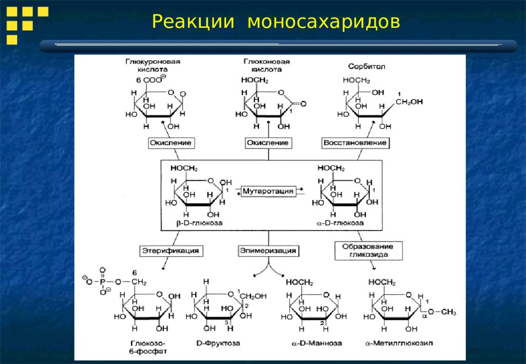 Изомерия реакции. 10 Кл химия углеводы моносахариды. Номенклатура моносахаридов и их строение. Углеводы моносахариды номенклатура. Изомерия структура моносахаридов.