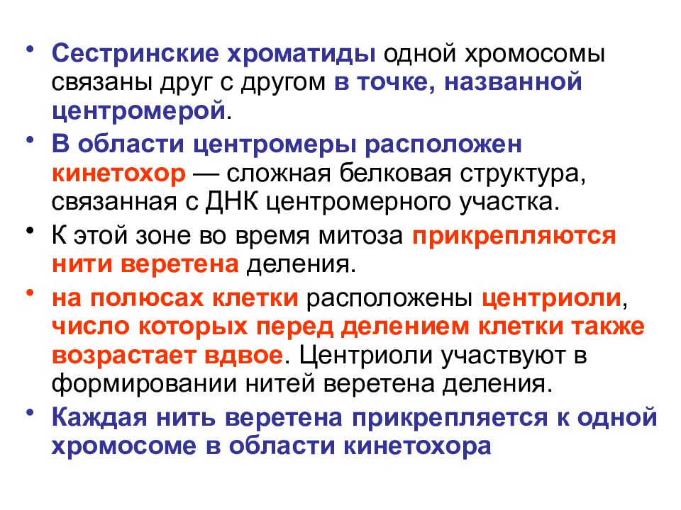 Хроматиды. Сестринские хромосомы и хроматиды. Общая биология и микробиология. Сестринские и дочерние хроматиды. Сестринские хроматиды и дочерние хромосомы.