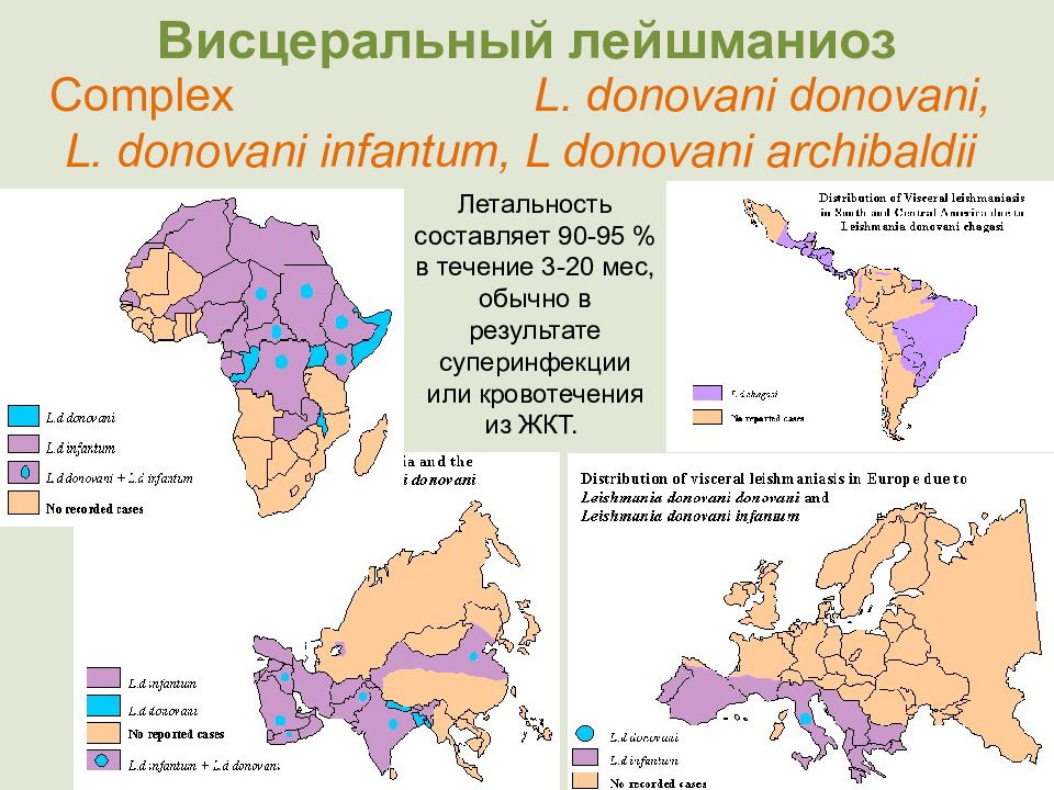 Висцеральный лейшманиоз диагностика. Распространенность лейшманиоза. Распространение лейшманий. Висцеральный лейшманиоз. Географическое распространение кожного лейшманиоза.