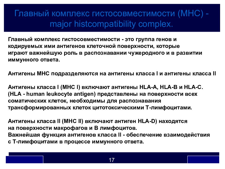 Главный комплекс. MHC главный комплекс гистосовместимости. MHC II комплекс гистосовместимости. Главный комплекс гистосовместимости (MCH).. МНС главный комплекс гистосовместимости.