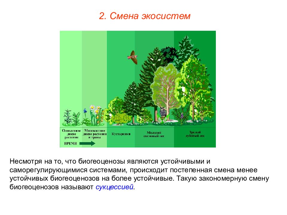 Экосистемы презентация 9 класс