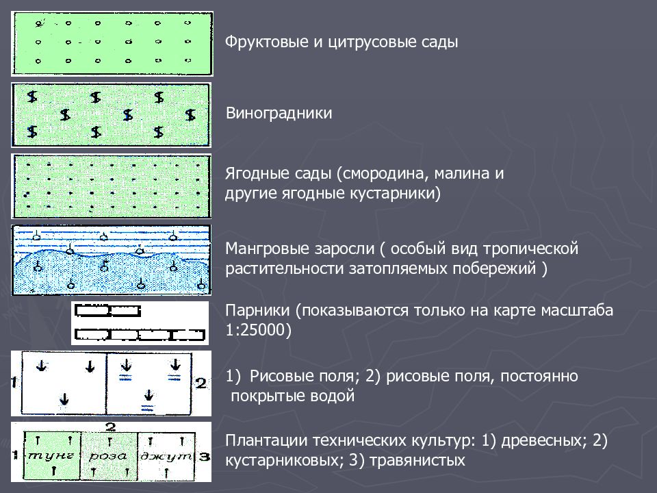 Как выглядят условные. Обозначение фруктового сада на топографической карте. Обозначения на топографических картах ягодники. Топографическое обозначение фруктовый сад. Фруктовый сад на топографической карте.