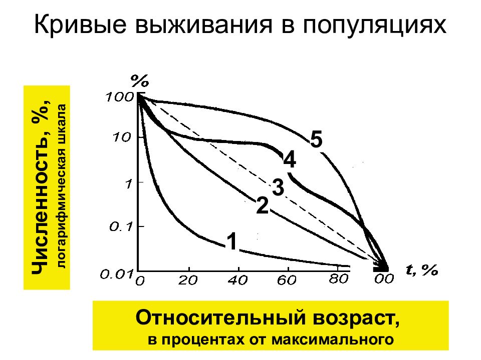 Относительный возраст. Кривые выживания. Кривые выживаемости. Кривые выживания популяций. Кривые выживания это в экологии.