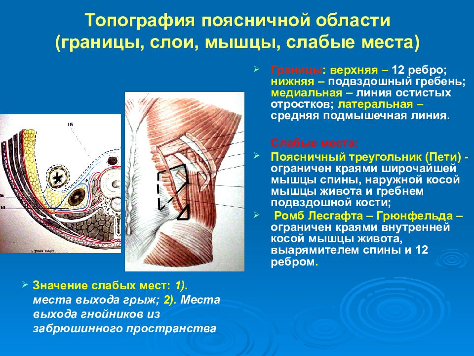 Презентация забрюшинное пространство