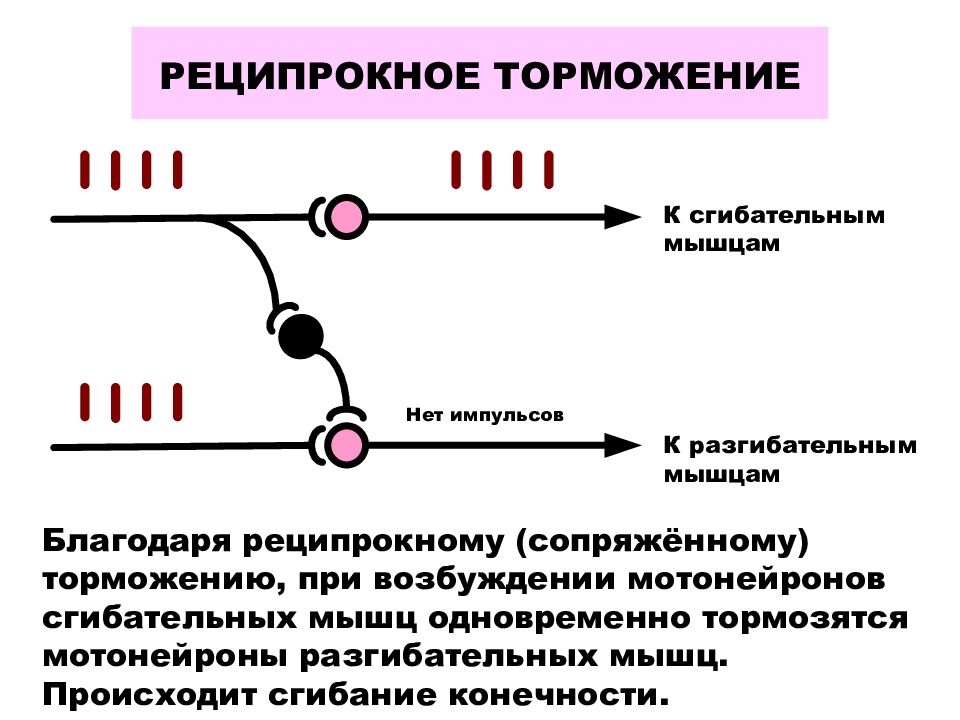 Торможение виды роль: найдено 85 изображений