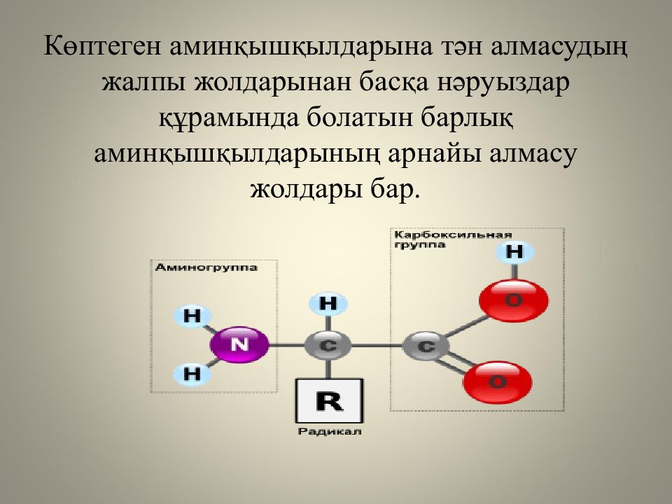 Жеке аминқышқылдардың алмасуы және оның бұзылуының биохимиялық негіздері Жеке аминқышқылдардың алмасуы және оның бұзылуының биохимиялық негіздері