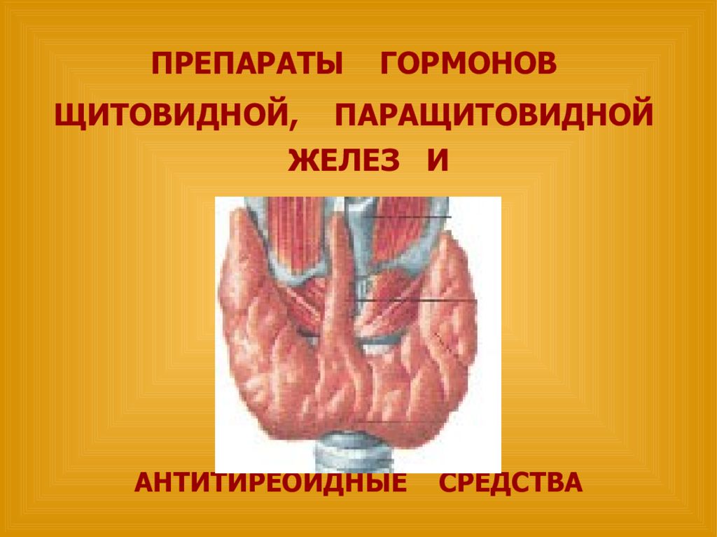 Гормоны паращитовидной железы