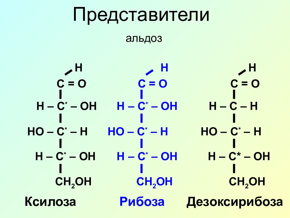 Строение рибозы. Ксилоза структурная формула. Рибоза ксилоза. Ксилоза изомеры. Формула ксилозы строение.