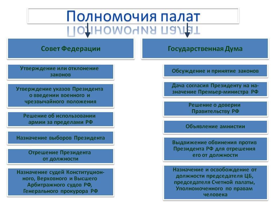 3 функции федерального собрания