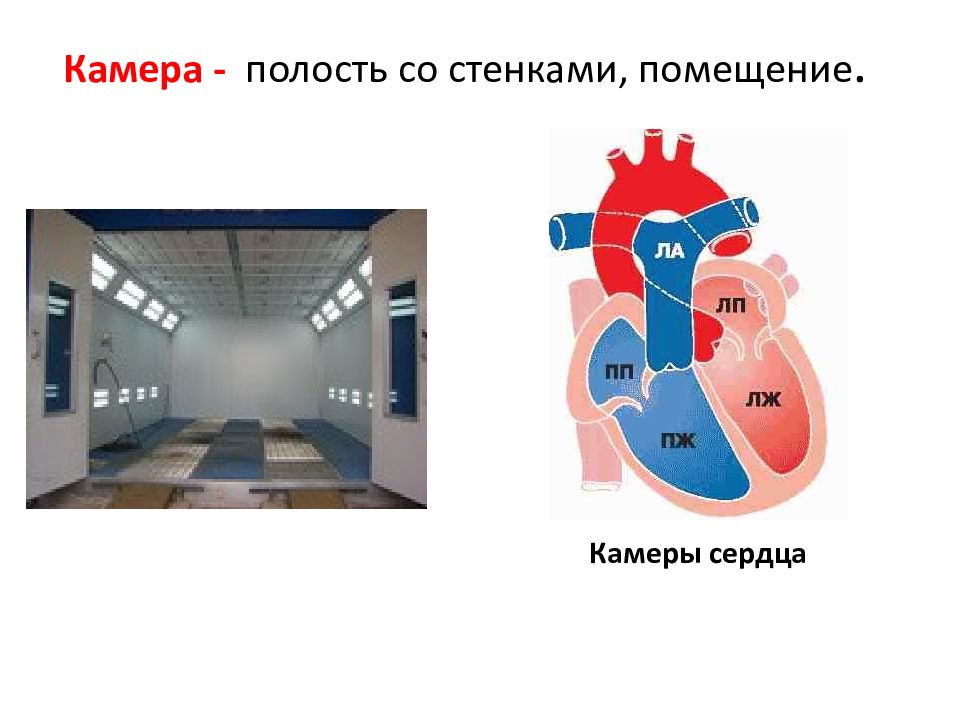 Пины в полостях iv класса вводятся в стенку