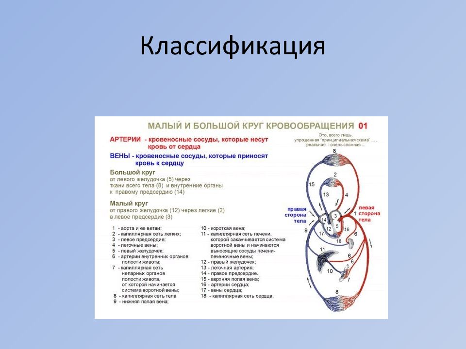 Заболевания органов кроветворения у детей презентация