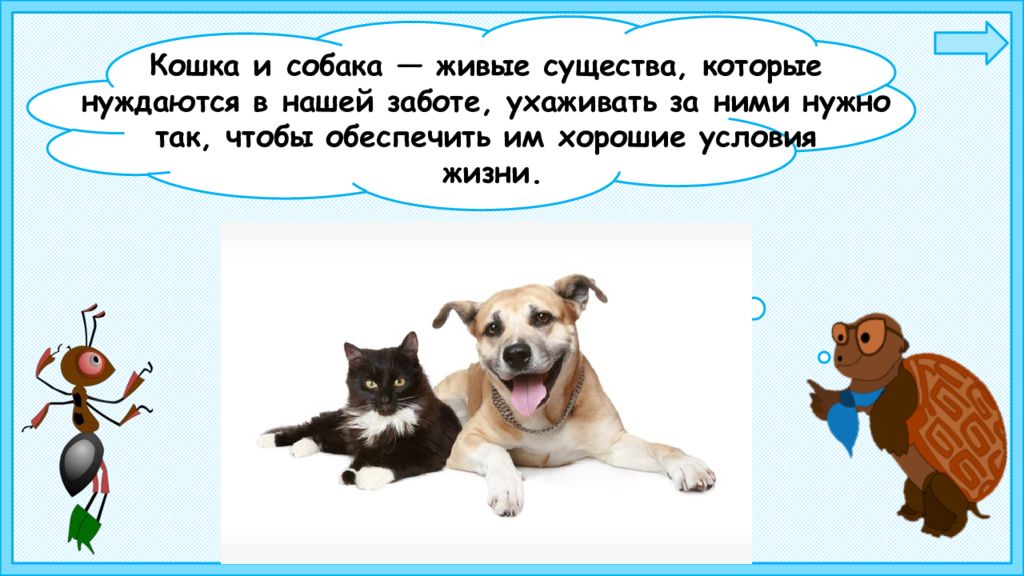 Про кошек и собак презентация окружающий. Почему мы любим кошек и собак. Кошки и собаки для презентации. Окружающий мир почему мы любим кошек и собак. Почему мы любим кошек и собак 1 класс.