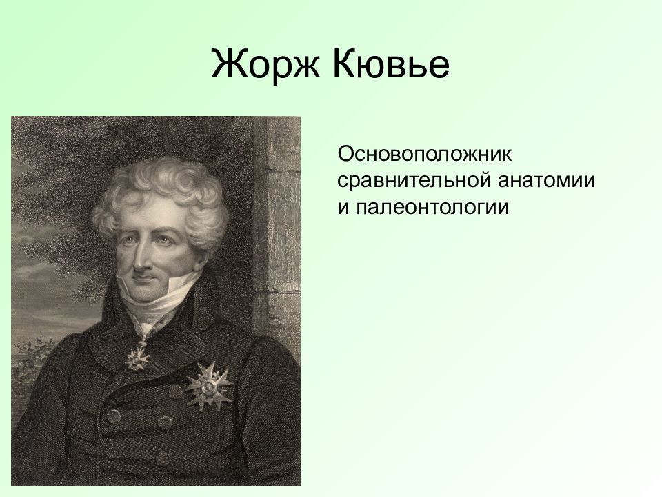 Кювье. Кювье теория эволюции.