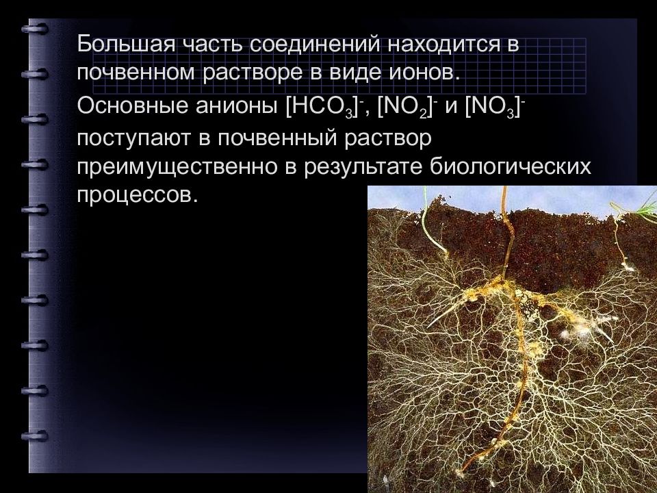 Поглотительная способность почвы презентация