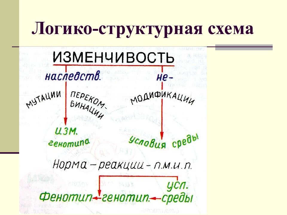 Логико структурная схема - TouristMaps.ru