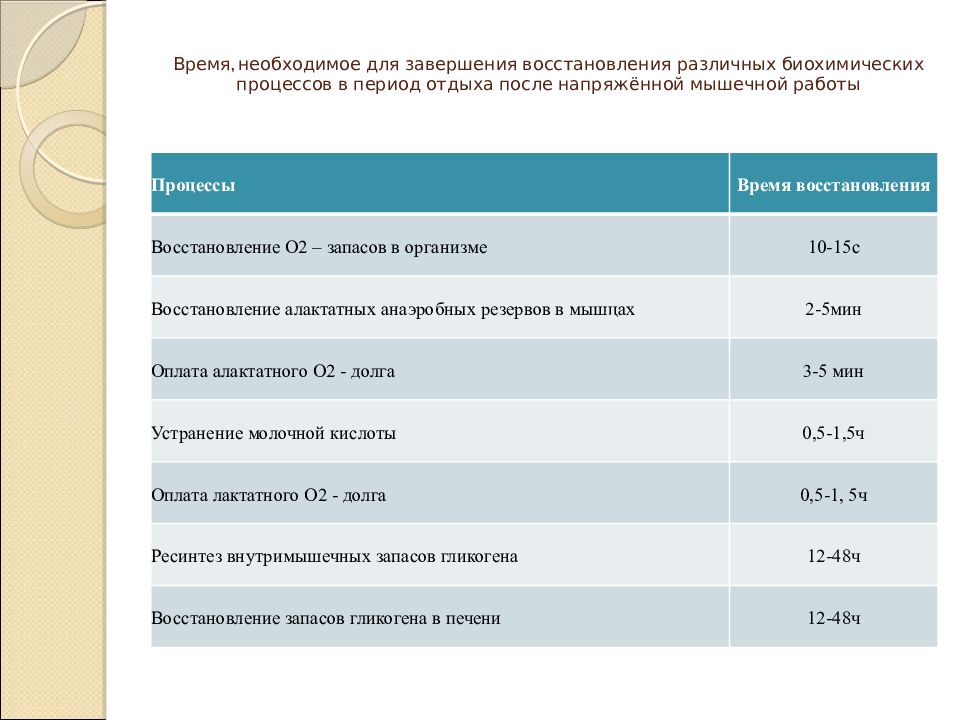 Периоды отдыха. Периоды восстановления после мышечной работы. Периоды отдыха периоды работы. Особенности протекания биохимических процессов в период отдыха.