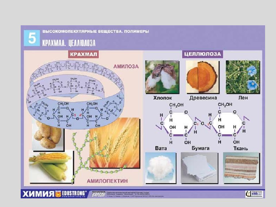 Растительная целлюлоза. Природные высокомолекулярные соединения (полимеры). Высокомолекулярное соединение из целлюлозы. Высокомолекулярные соединения полимеры. Химические свойства высокомолекулярных соединений.