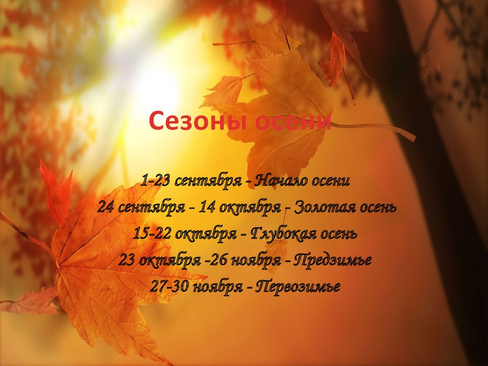 Дневник фенологических наблюдений — презентация