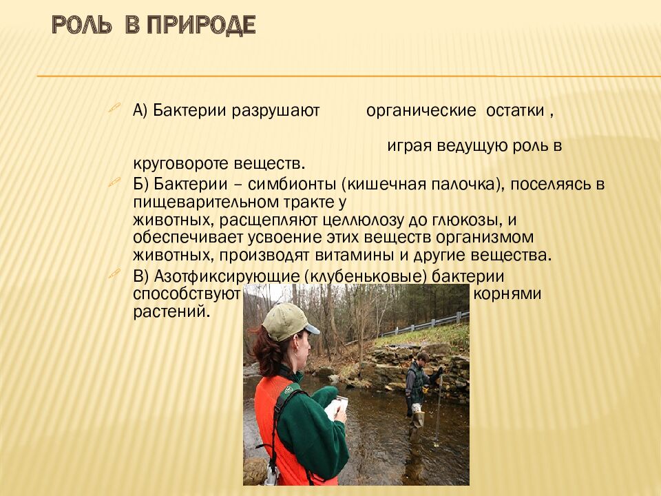 Роль в природе