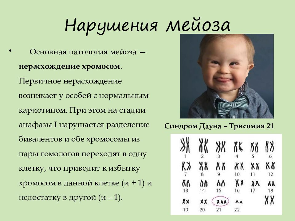 Нарушения мейоза