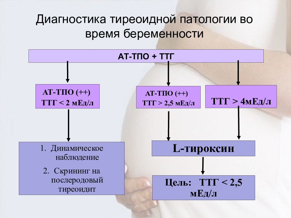 Послеродовый тиреоидит. ТТГ. Тиреоидит ТТГ. ТТГ беременной. ТТГ 15.