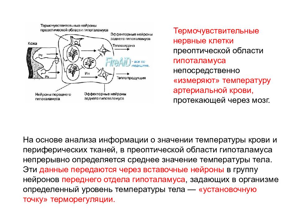 Термочувствительные материалы проект