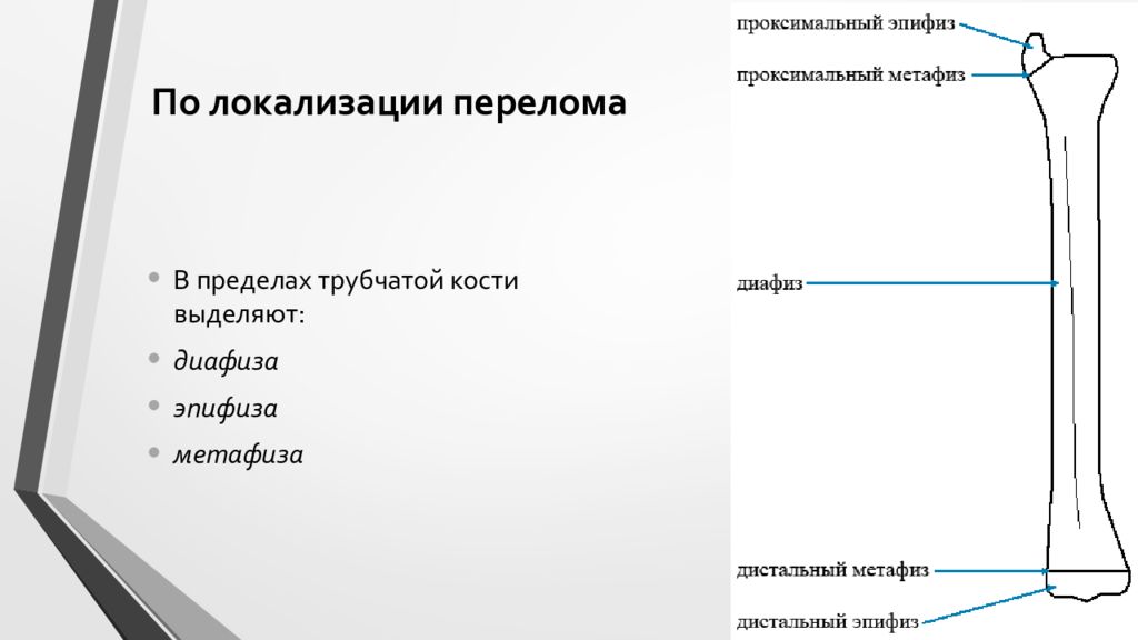 Проксимальный отдел кости. Бедренная кость проксимальный и дистальный эпифизы. Классификация перелома дитслального эпифиза большеберцовой кости.  По локализации: эпифизарные, метафизарные и диафизарные переломов. Перелом эпифиза бедренной кости.