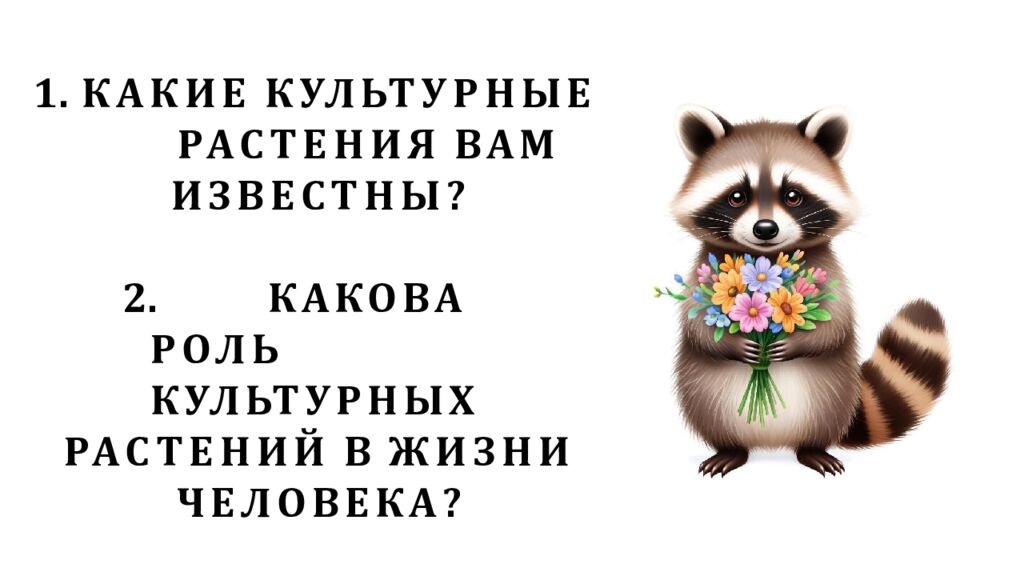 Рассмотрите изображения шести представителей мира растений. Предложите