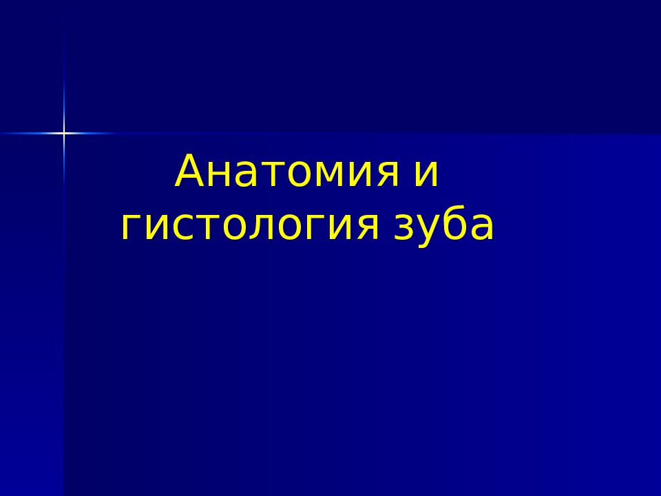 Анатомия и гистология зуба